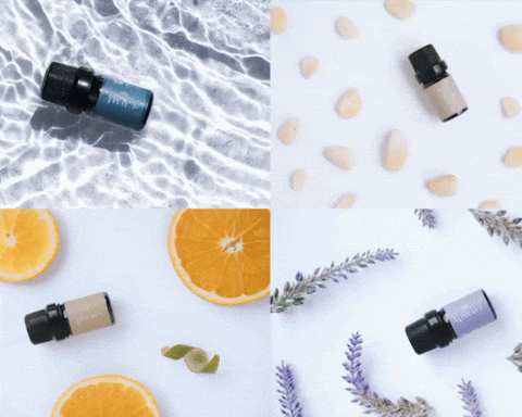 Mezcla de Aceites (Blends)