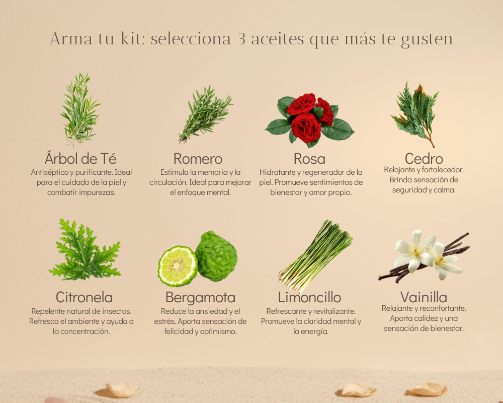 Kit difusor + 3 aceites