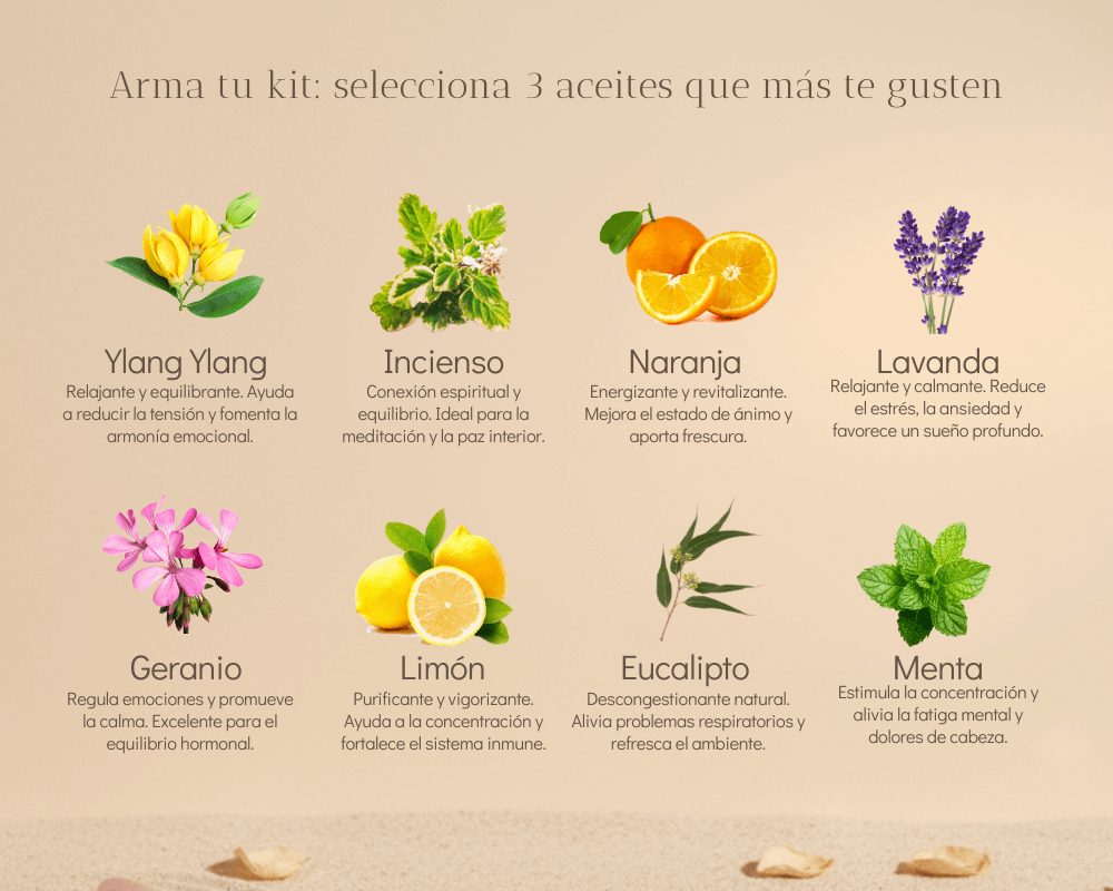 Kit difusor + 3 aceites