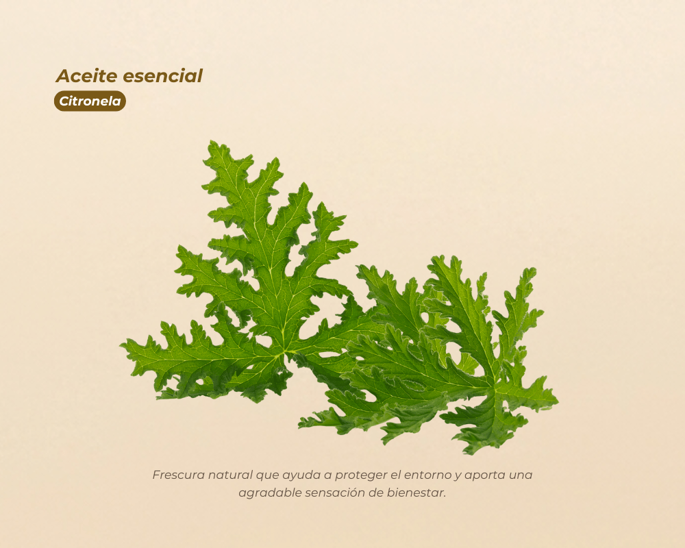 Aceites Esenciales 100% Puros para aromaterapia y bienestar