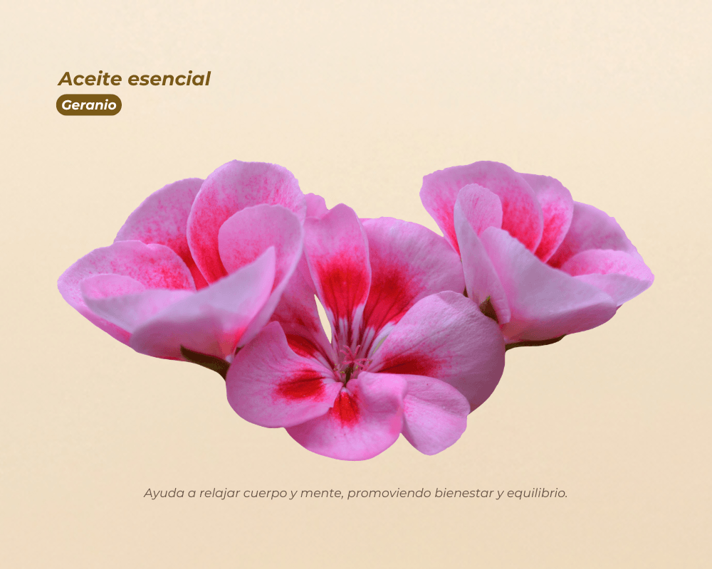 Aceites Esenciales 100% Puros para aromaterapia y bienestar