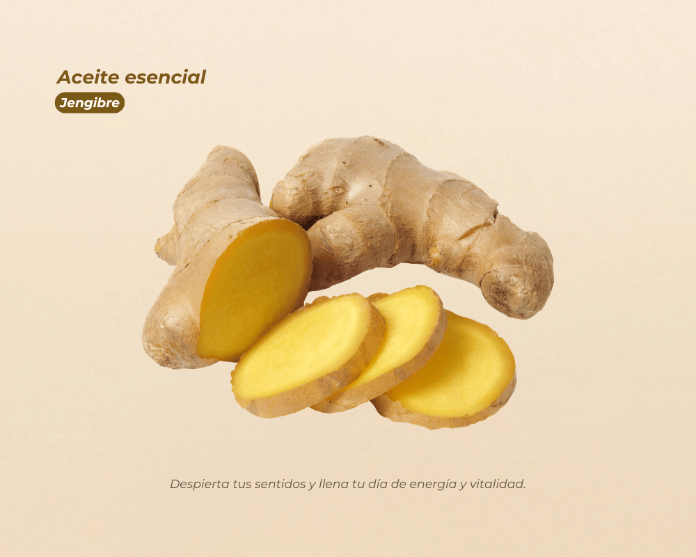Aceites Esenciales 100% Puros para aromaterapia y bienestar