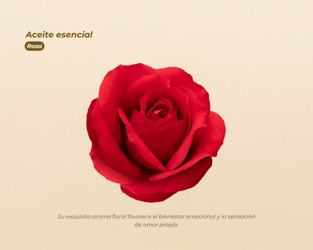 Aceites Esenciales 100% Puros para aromaterapia y bienestar