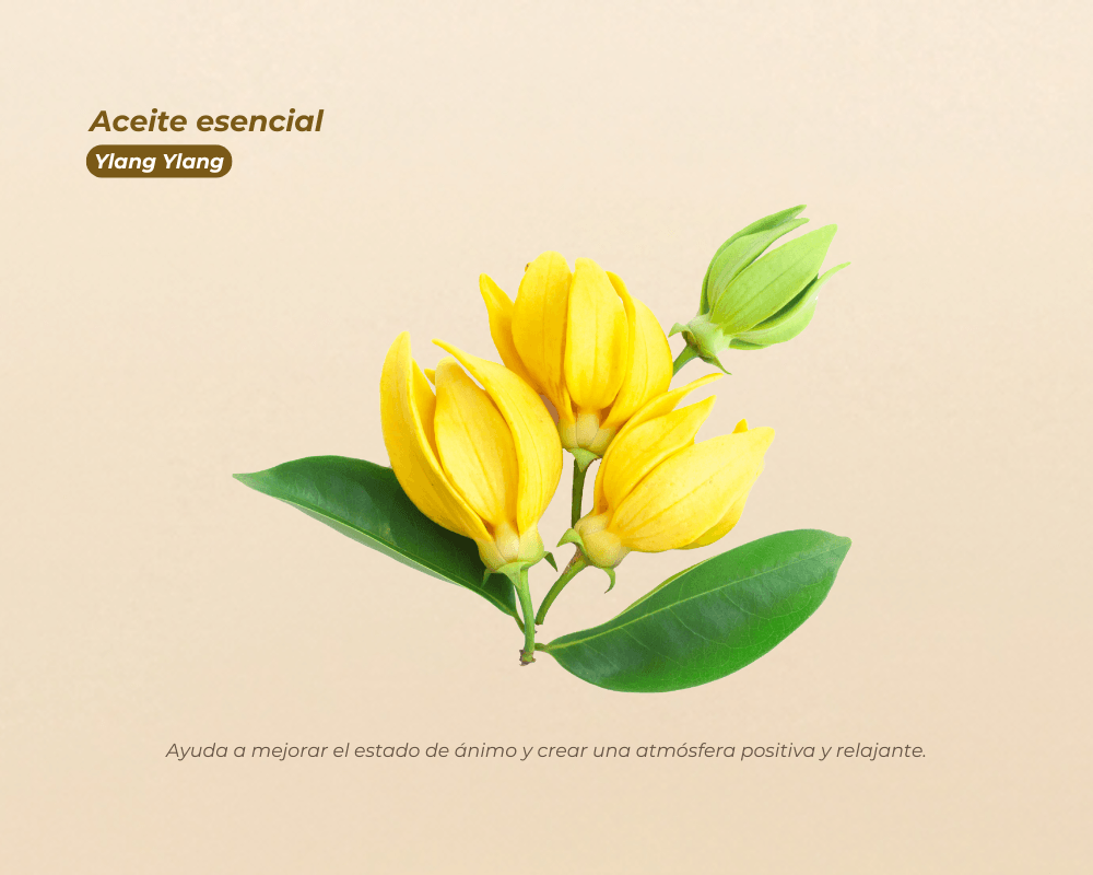 Aceites Esenciales 100% Puros para aromaterapia y bienestar